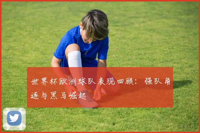 世界杯欧洲球队表现回顾：强队角逐与黑马崛起