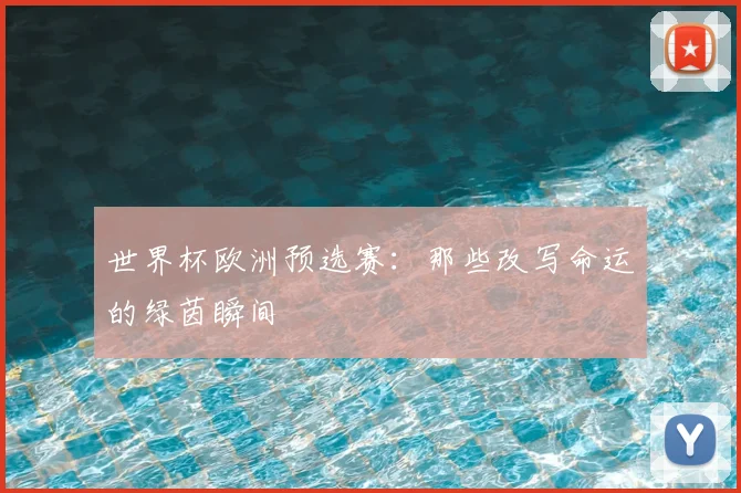 世界杯欧洲预选赛：那些改写命运的绿茵瞬间